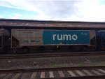 RUMO HPT-031199-5